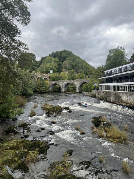 Thumbnail of photo from this article